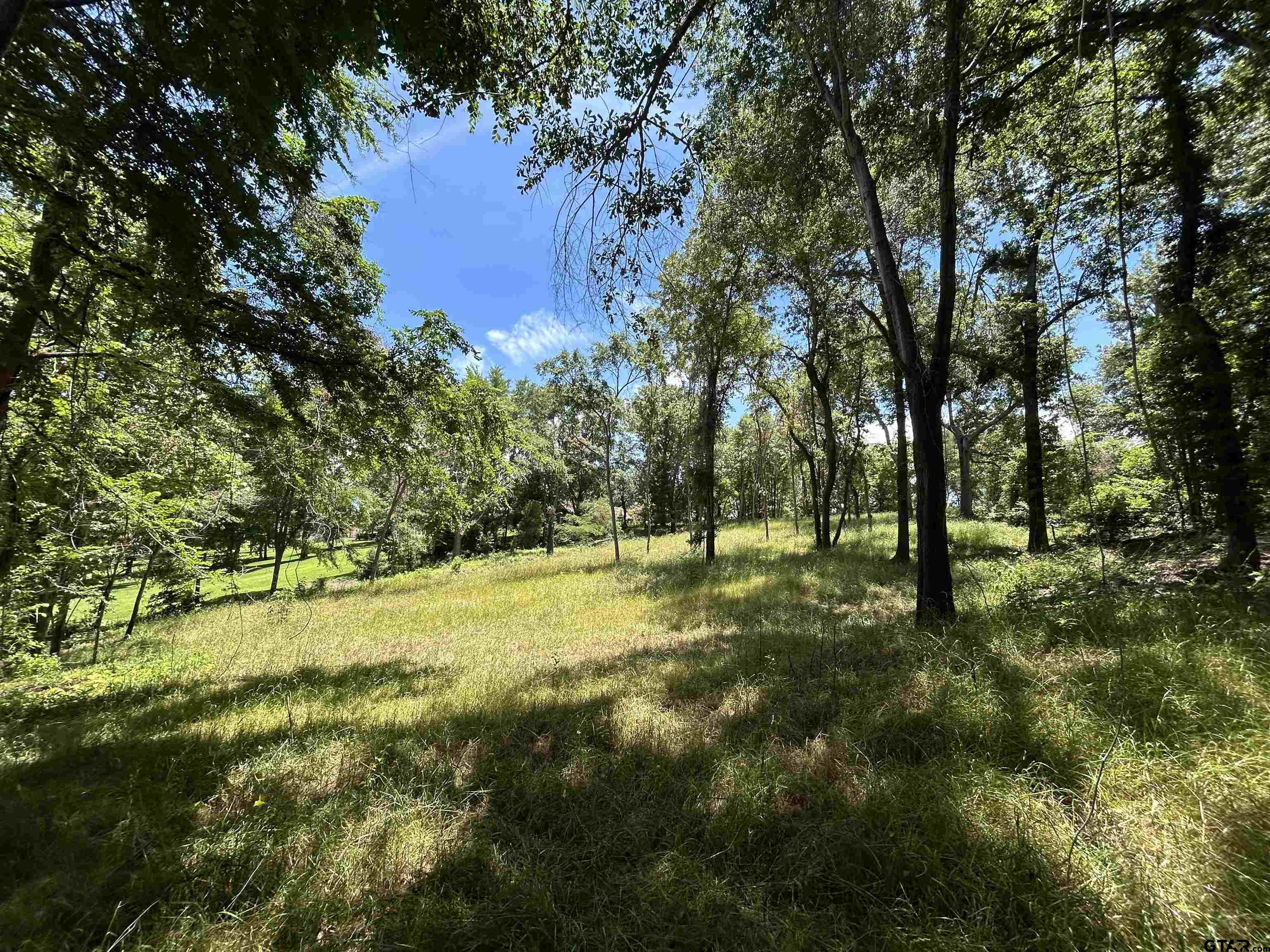 Lot Tr Stevenson Road Frankston, TX 75763 - Photo 10 of 38 a view of yard with trees