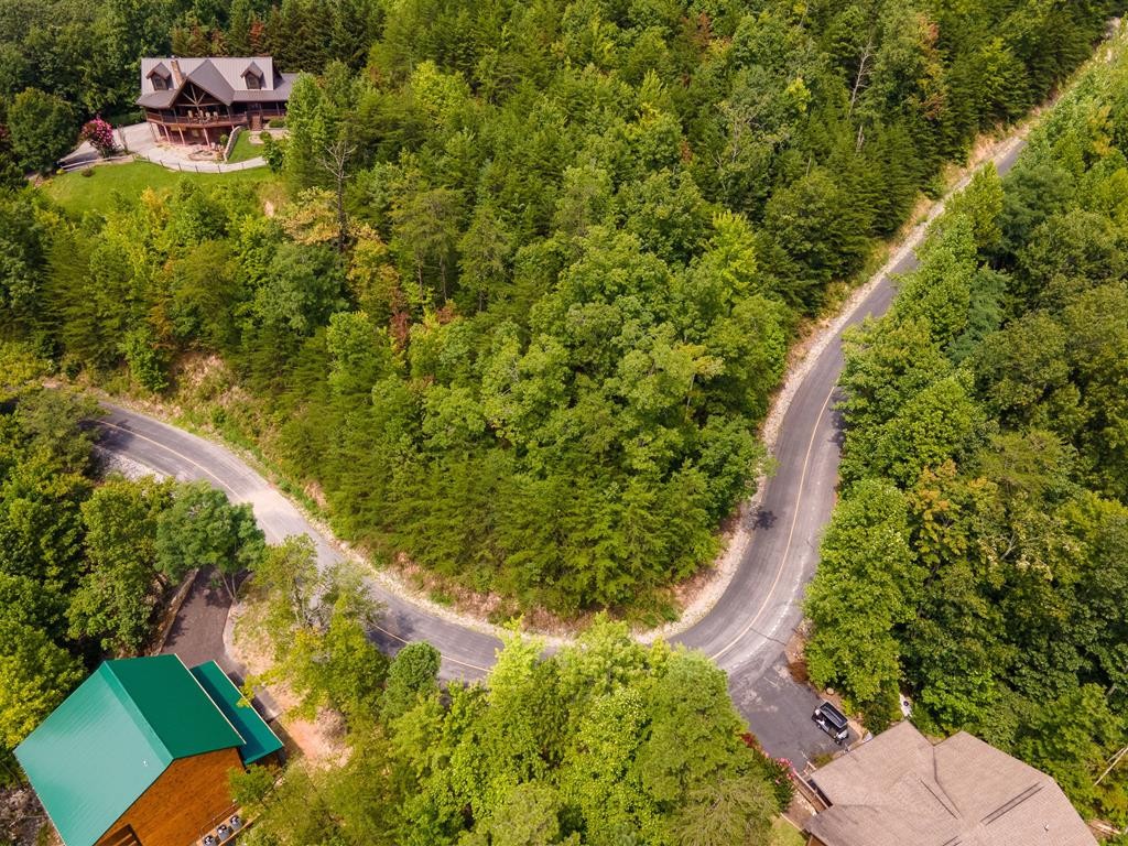 30 Ridgeback Lane Sevierville, TN 37862 - Photo 7 of 34