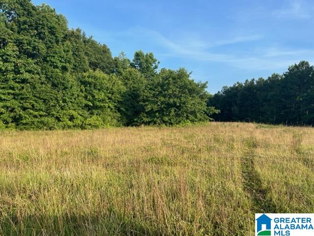 Armory Road, Unit 6 Ashland, AL 36251 - Photo 3 of 5