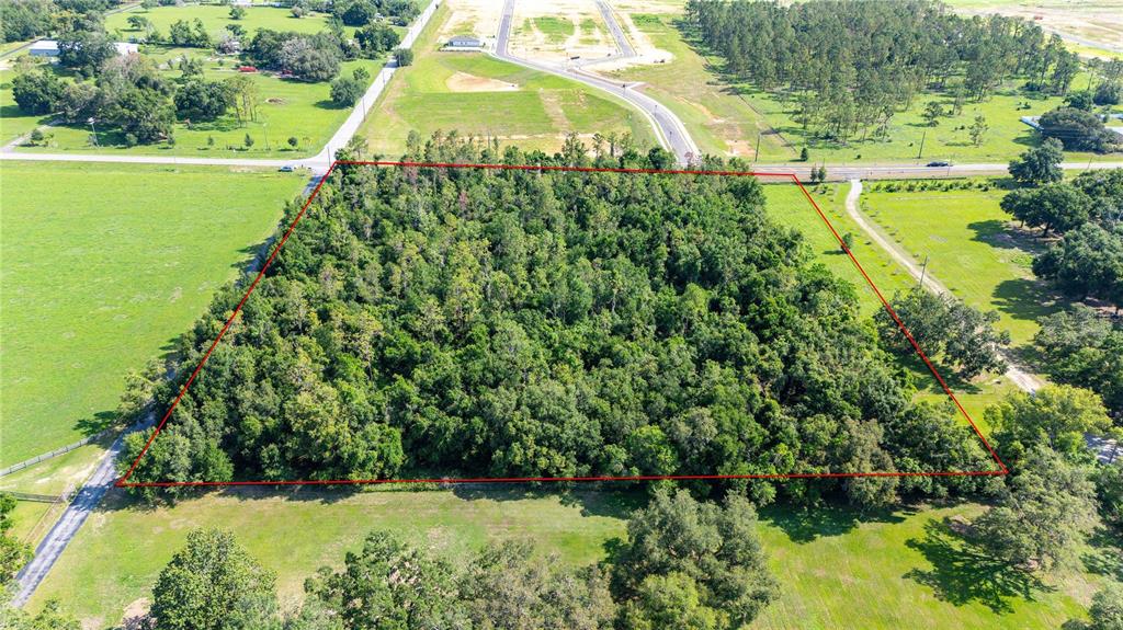 36126 St Joe Road Dade City, FL 33523 - Photo 3 of 16