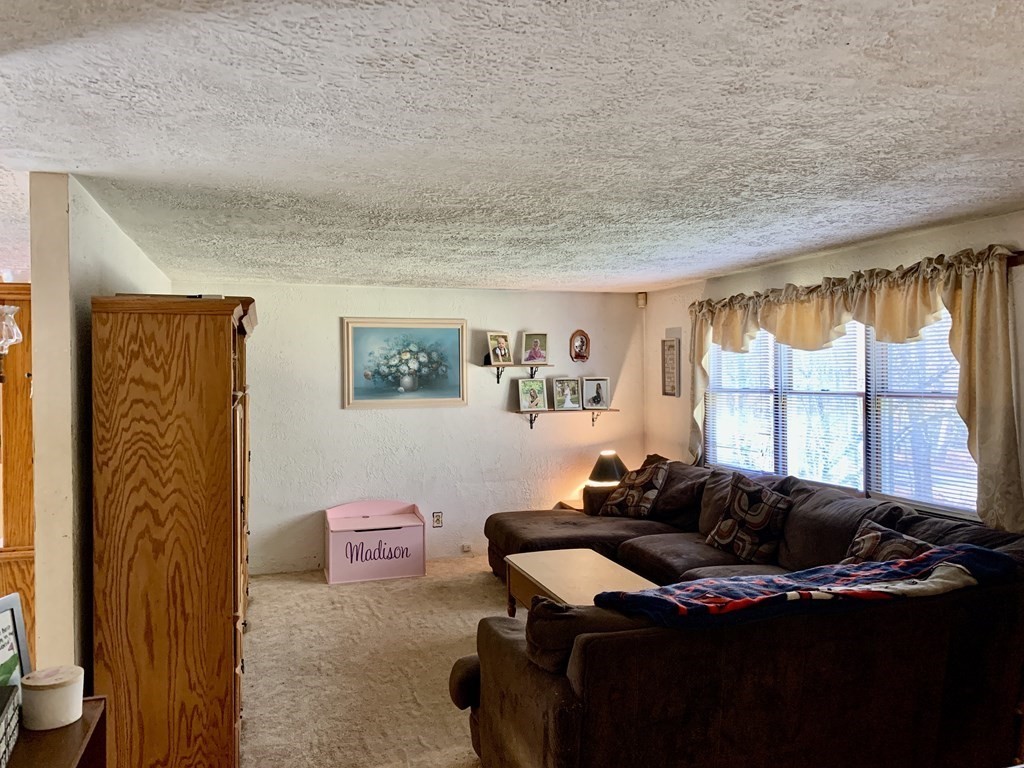 11 Hebert Road Spencer, MA 01562 - Photo 11 of 29 a living room with furniture a window and a potted plant