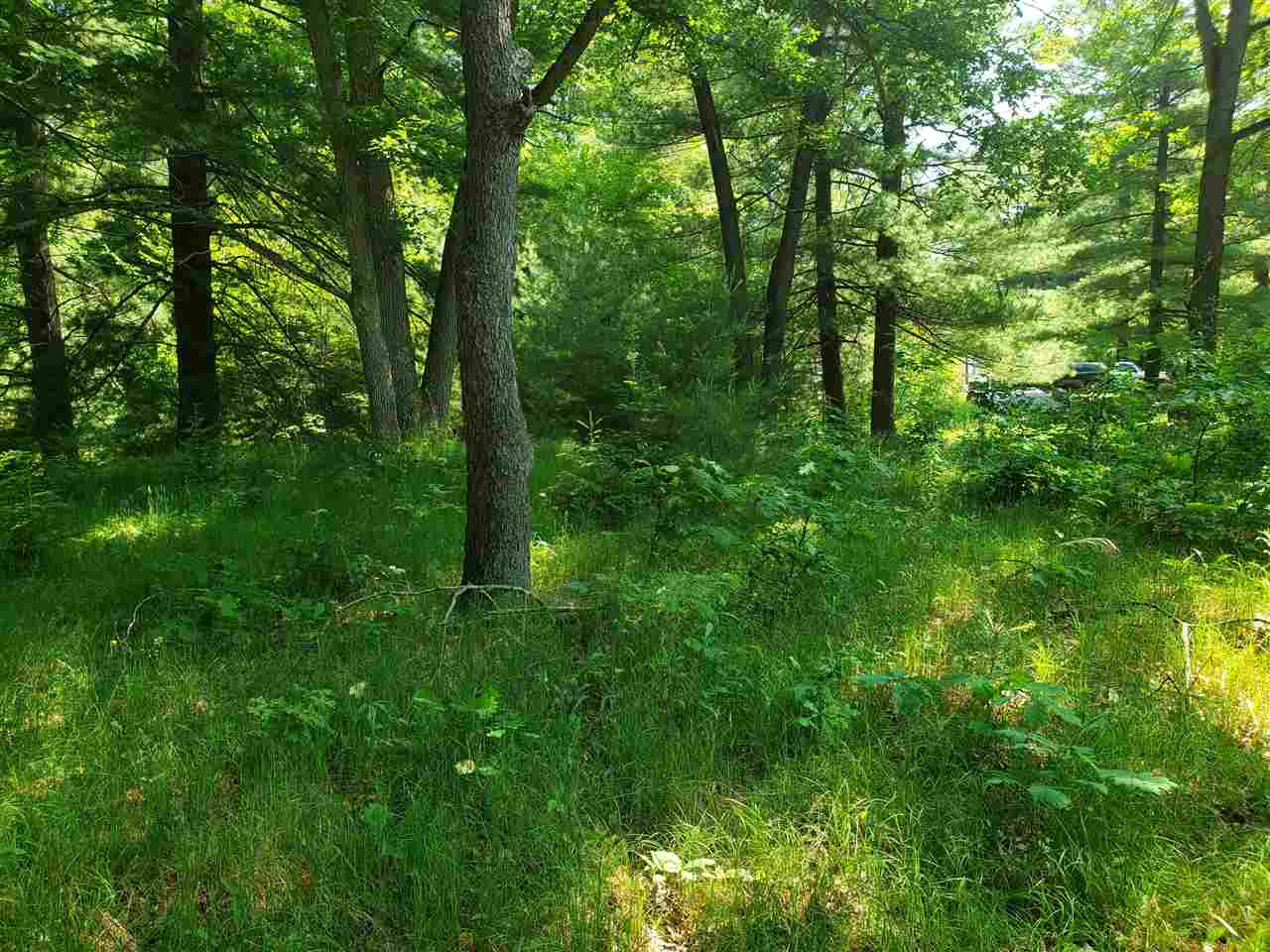 Nhn Lawrence Road Harrison, MI 48625 - Photo 2 of 7