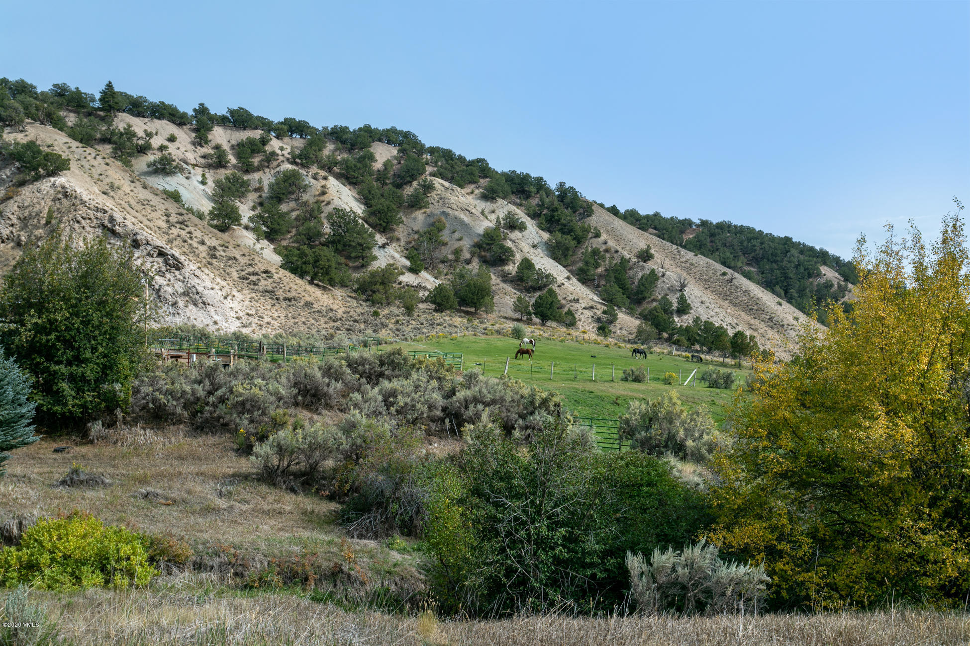 756 Eby Creek Road Eagle, CO 81631 - Photo 32 of 45 a view of a forest with a forest