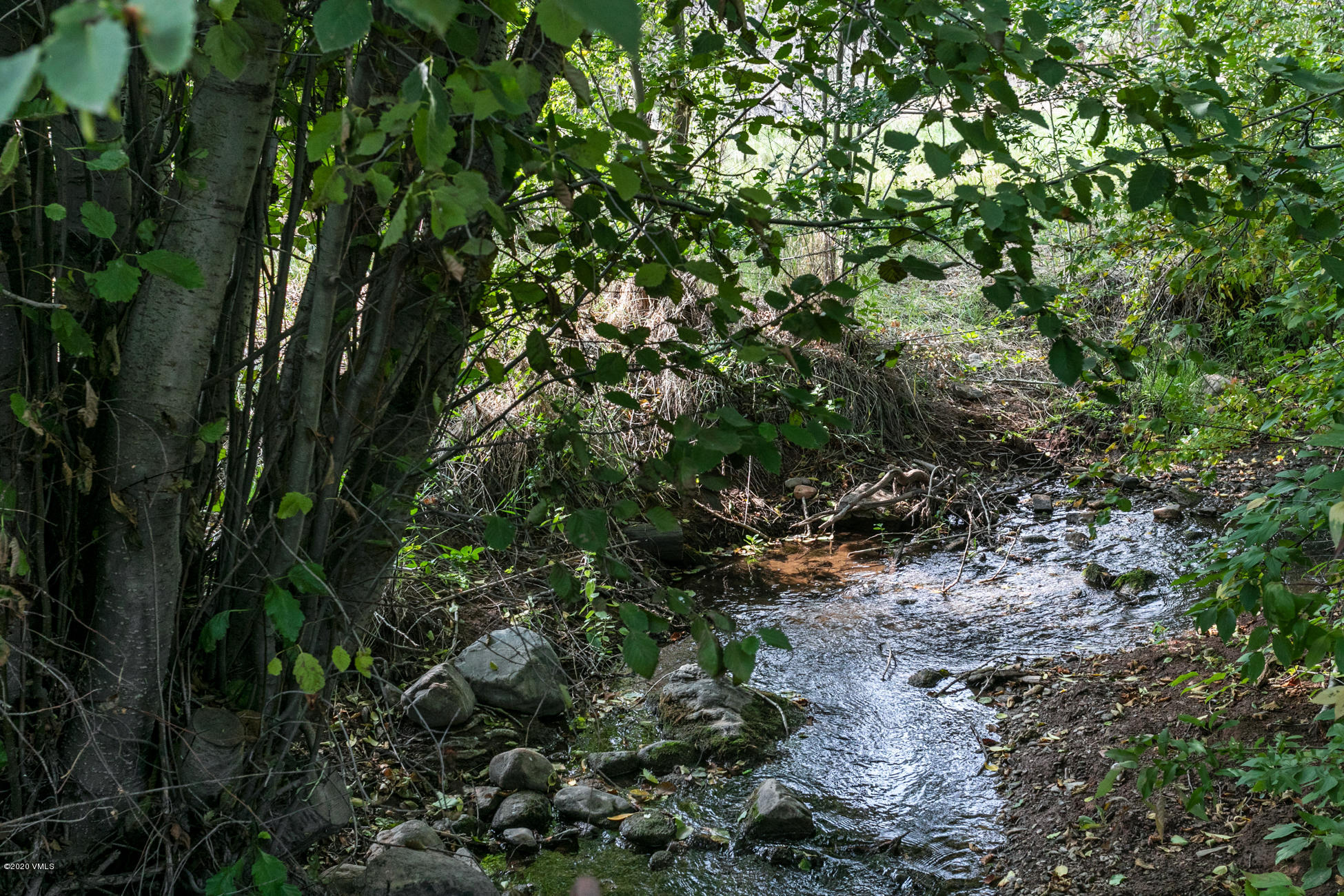756 Eby Creek Road Eagle, CO 81631 - Photo 33 of 45 a view of a forest with a tree