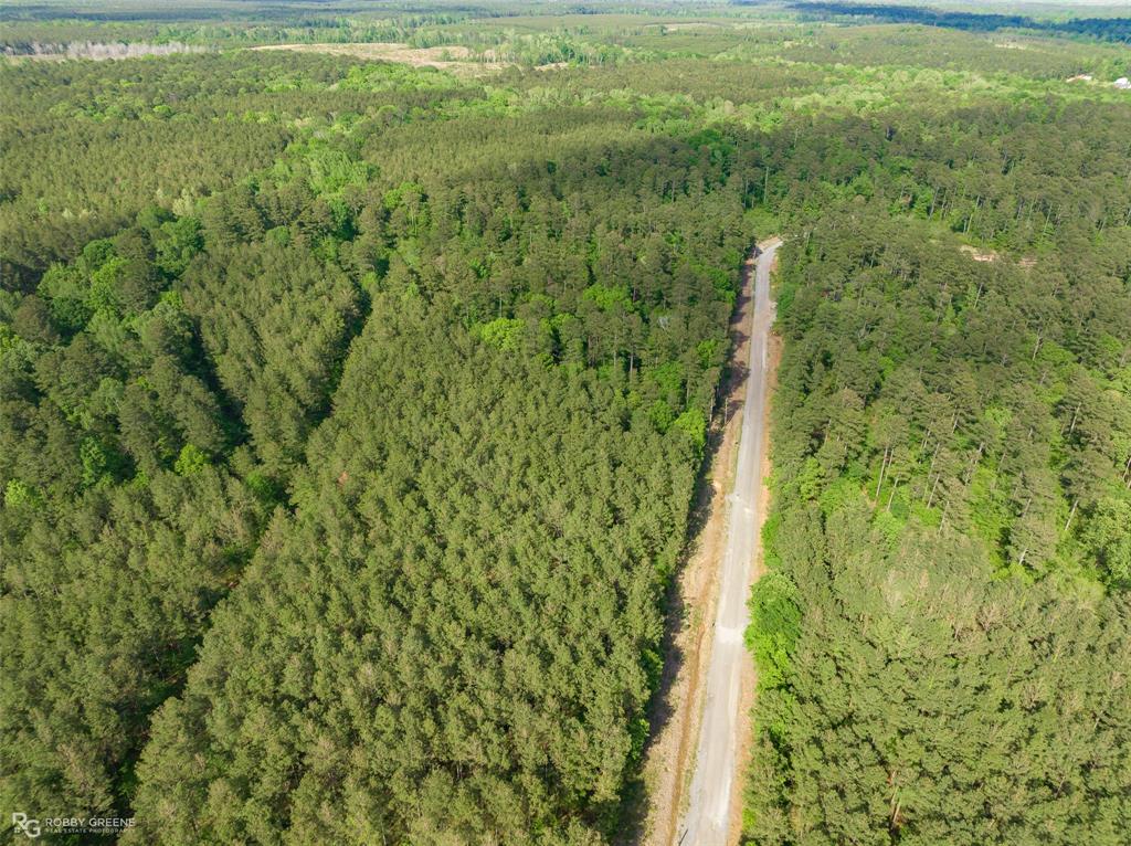 14447 Highway 157 Benton, LA 71006 - Photo 5 of 5 a view of a yard with an outdoor space