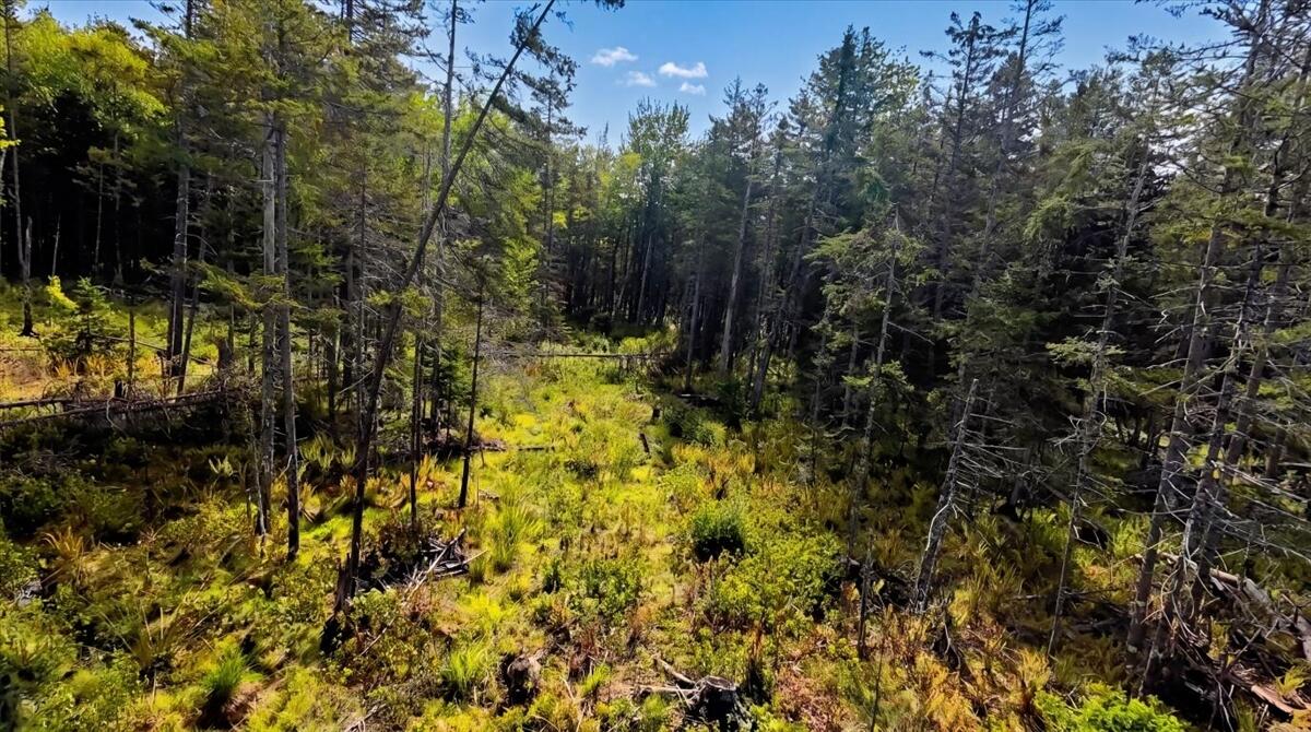 R13-30.2 Buckfield Road South Paris, ME 04281 - Photo 11 of 39 Land