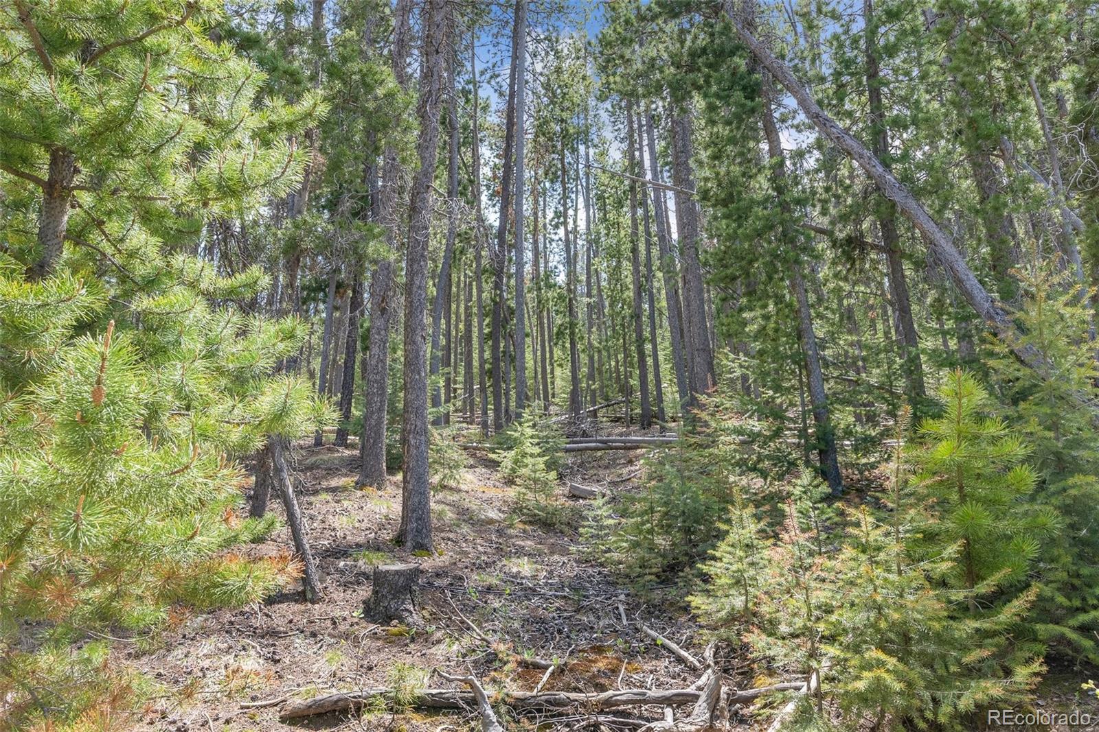 Lost Cabin Trail Evergreen, CO 80439 - Photo 5 of 17 a view of outdoor space and garden