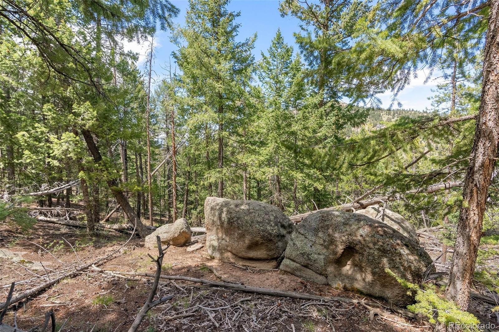 Lost Cabin Trail Evergreen, CO 80439 - Photo 6 of 17 a view of a backyard with plants and large trees