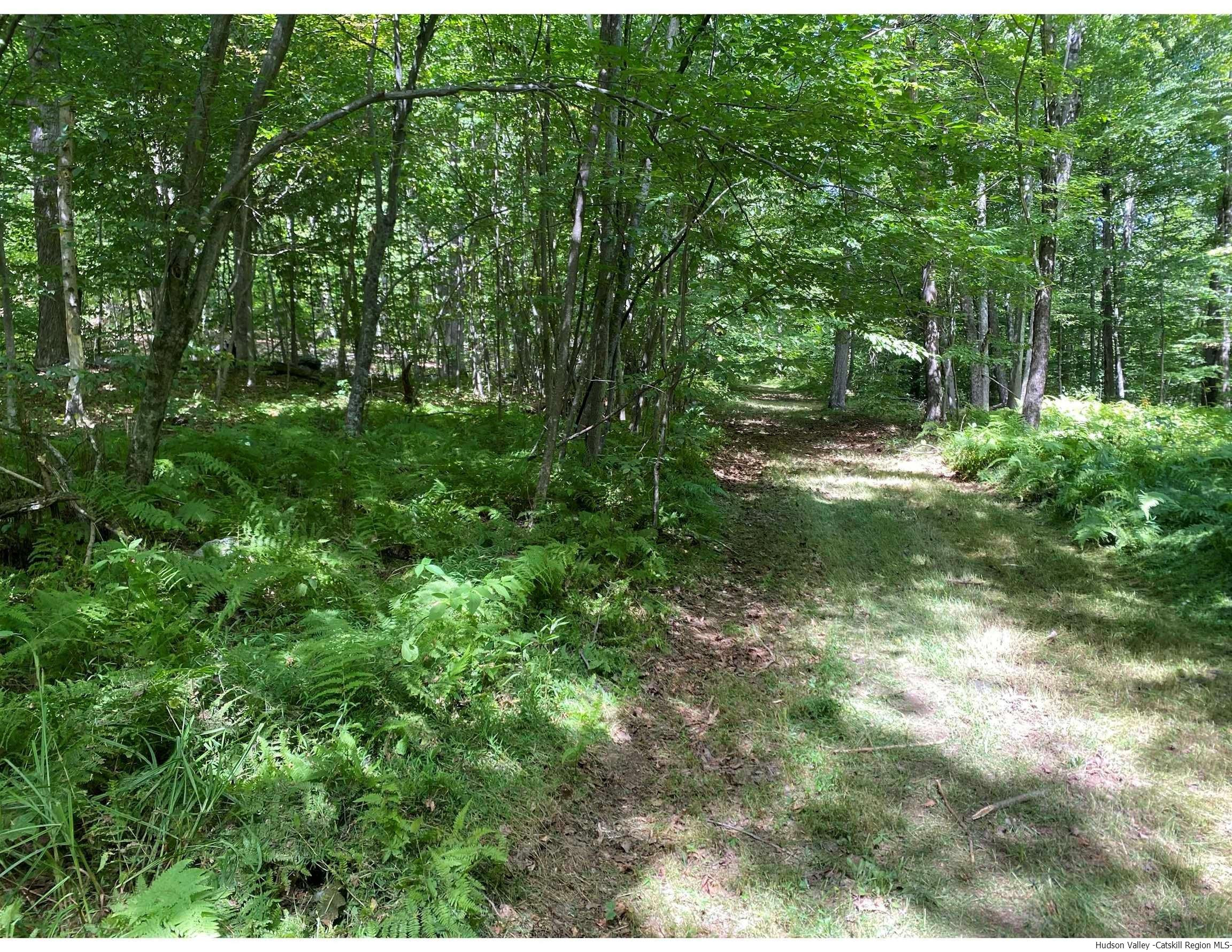 820 Cold Spring Road, Unit COLD SPRING RD Stanfordville, NY 12581 - Photo 3 of 12 Photo 3