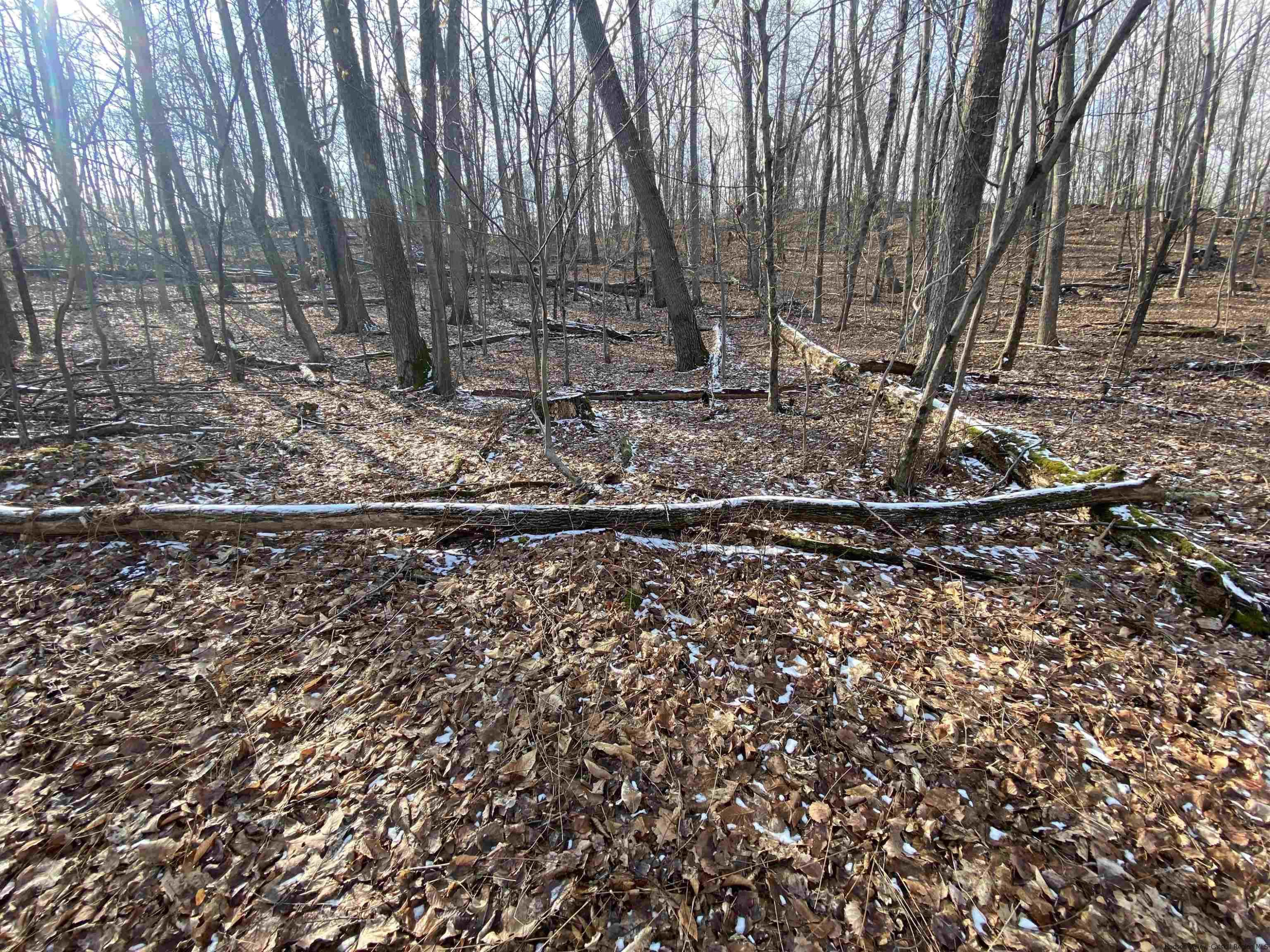 820 Cold Spring Road, Unit COLD SPRING RD Stanfordville, NY 12581 - Photo 7 of 12 Photo 7