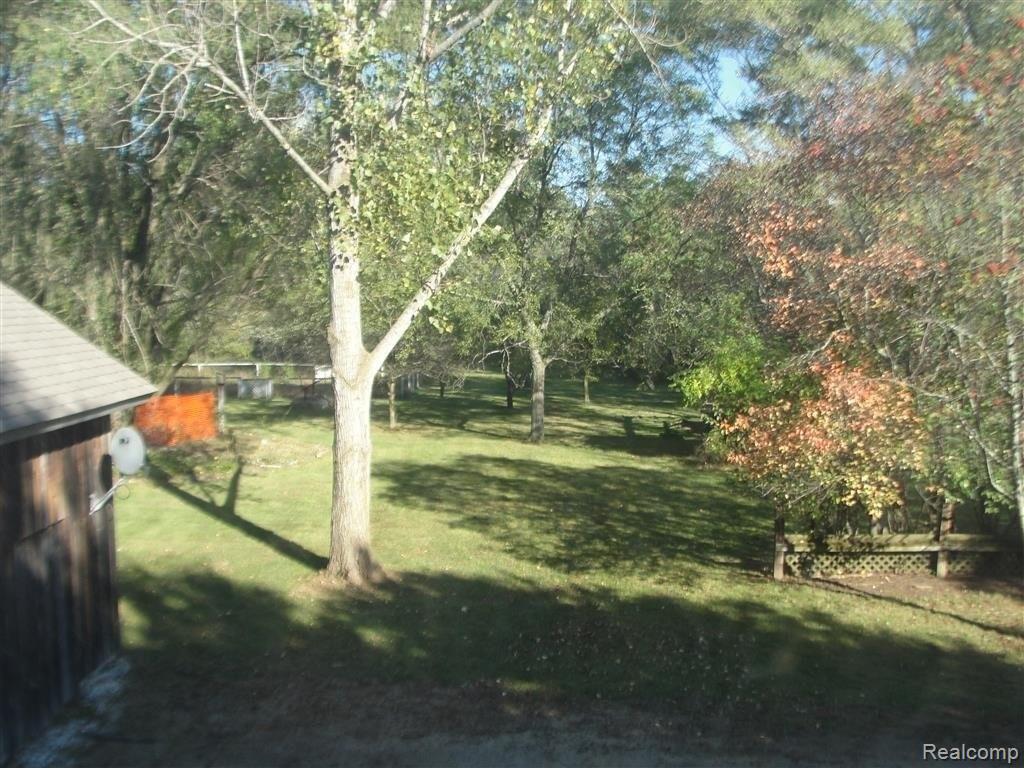 backyardview.JPG