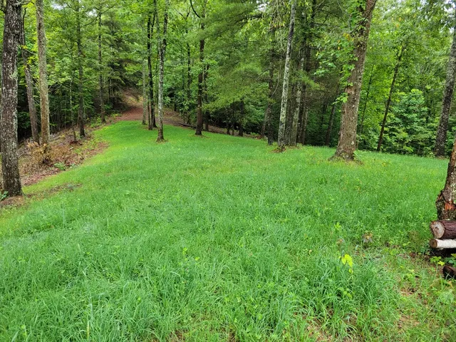 $94,900 | Tr1-22 Majestic Mountain Trail, Murphy, NC 28906