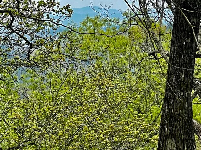 $94,900 | Tr1-22 Majestic Mountain Trail, Murphy, NC 28906