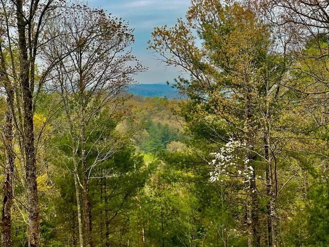 $94,900 | Tr1-22 Majestic Mountain Trail, Murphy, NC 28906