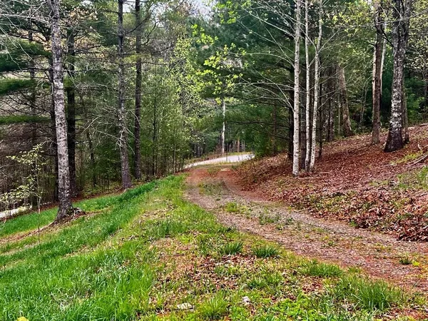 $94,900 | Tr1-22 Majestic Mountain Trail, Murphy, NC 28906