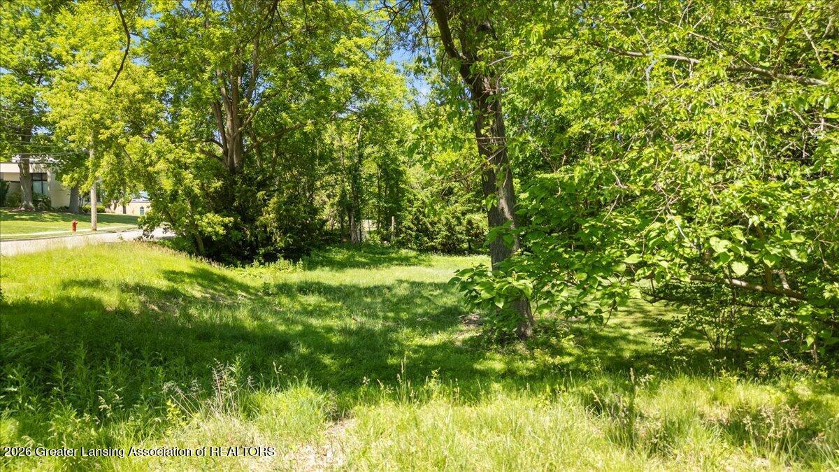 201 Ridge Road East Lansing, MI 48823 - Photo 8 of 18 15-Media Jett - 06