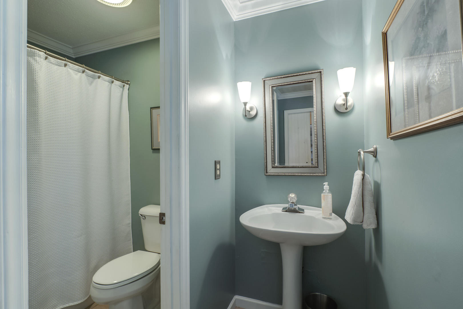 1286 Whites Creek Road Spring City, TN 37381 - Photo 18 of 40 18_WhitesCreekRoad_1286_GuestBath1
