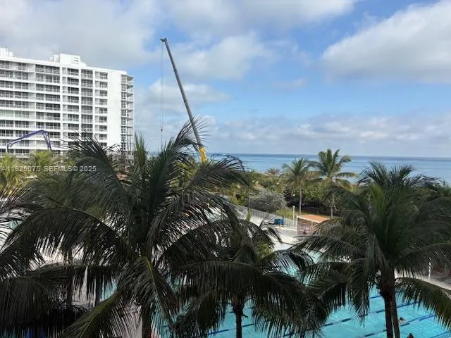 a view of a palm plant from a palm tree