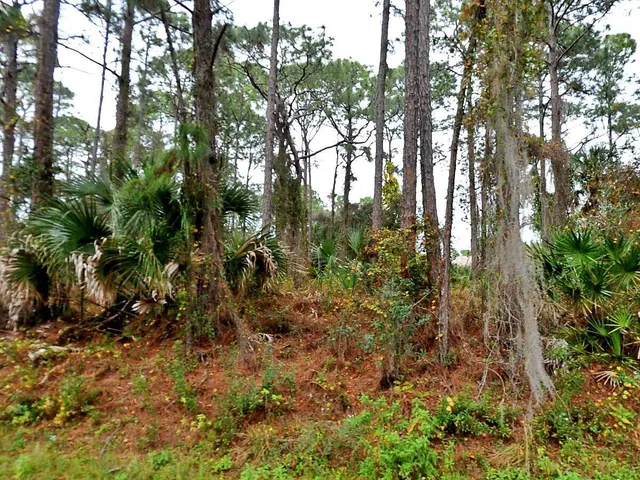 $56,000 | Tbd Giblin Drive, North Port, FL 34286
