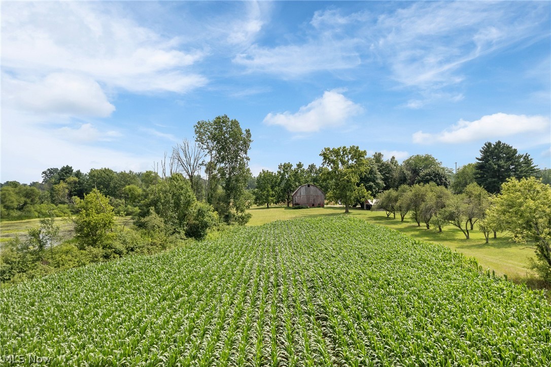 7999 Wadsworth Road Wadsworth, OH 44281 - Photo 7 of 40 Gallery Image 7