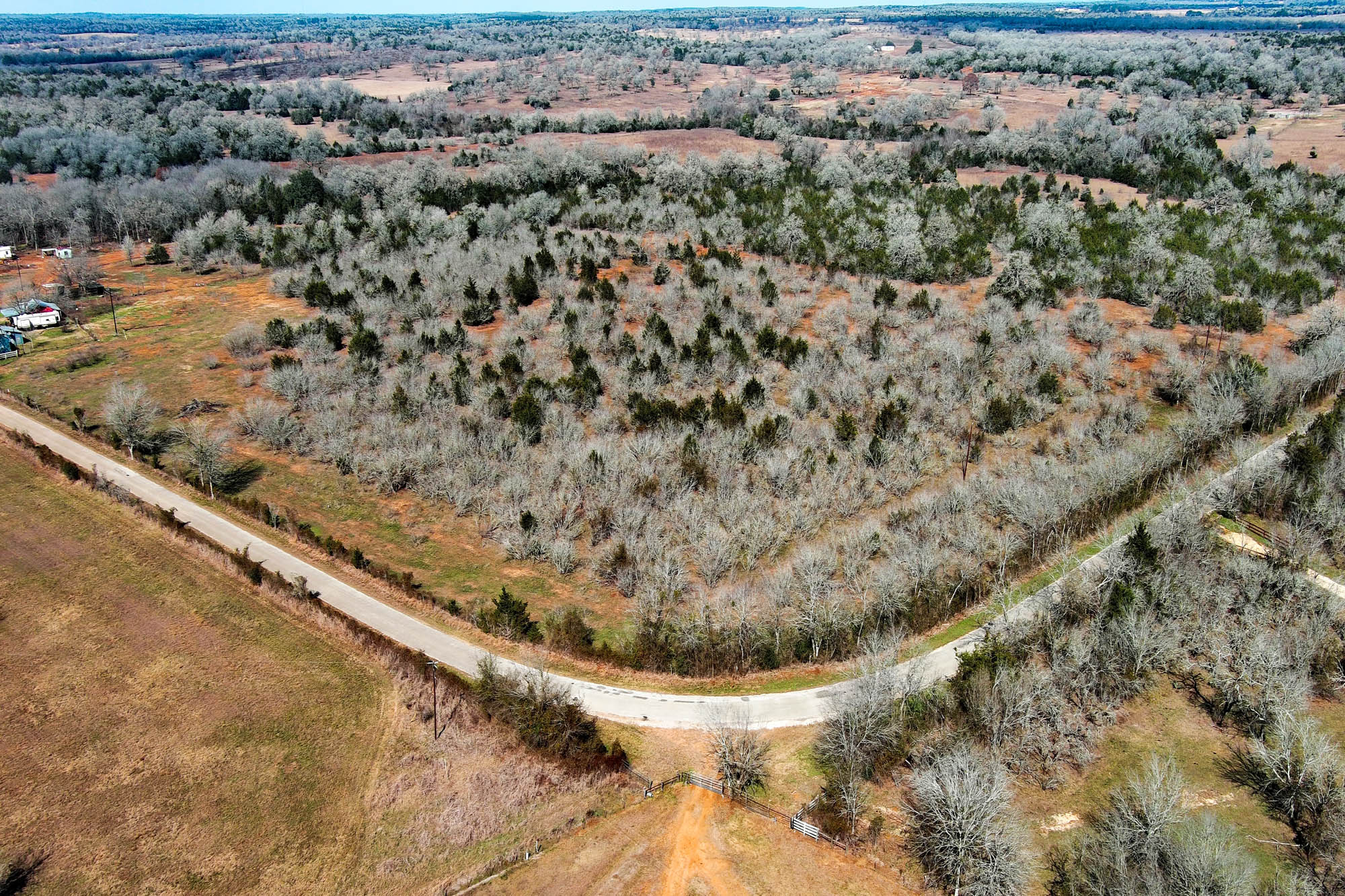 1648 Jeddo Road Rosanky, TX 78953 - Photo 11 of 32 a view of a forest from a window