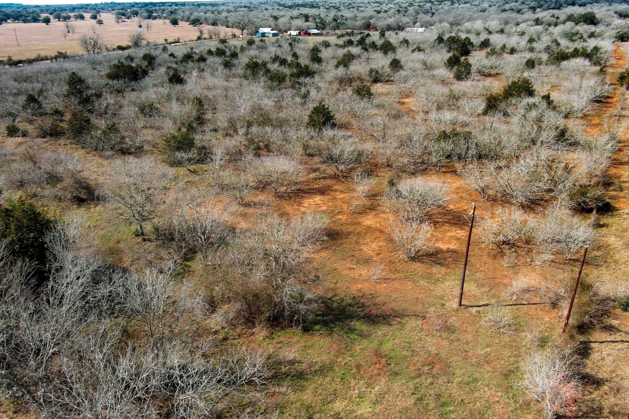 1648 Jeddo Road Rosanky, TX 78953 - Photo 12 of 32 a view of a dry yard