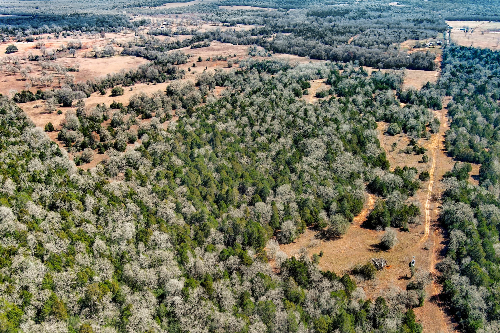 1648 Jeddo Road Rosanky, TX 78953 - Photo 14 of 32