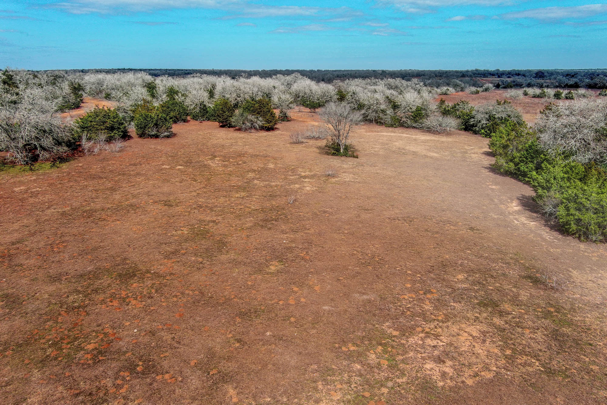 1648 Jeddo Road Rosanky, TX 78953 - Photo 16 of 32 a view of a road with an outdoor space