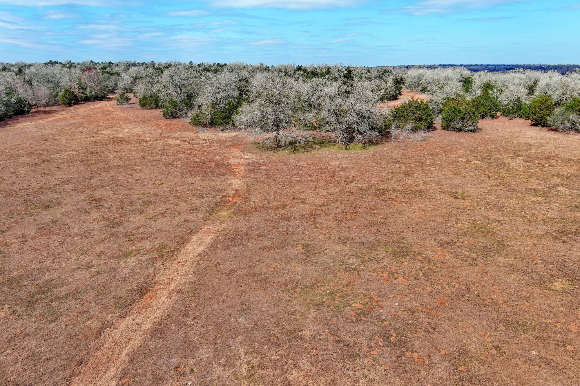 1648 Jeddo Road Rosanky, TX 78953 - Photo 17 of 32 a view of a dry yard with wooden fence