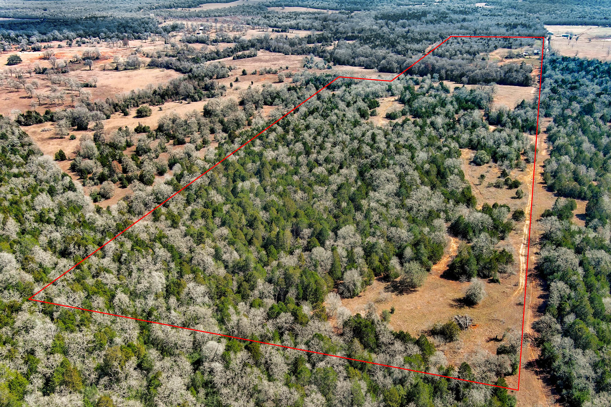 1648 Jeddo Road Rosanky, TX 78953 - Photo 30 of 32