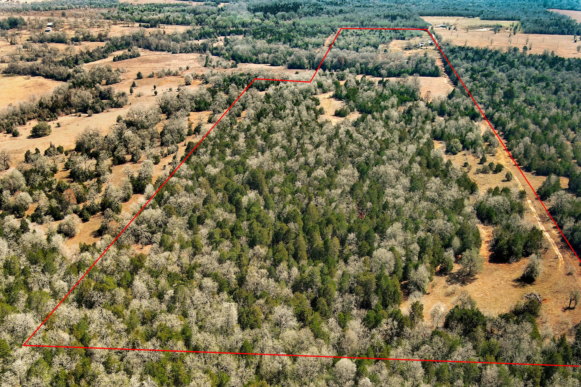 1648 Jeddo Road Rosanky, TX 78953 - Photo 31 of 32 a view of a city