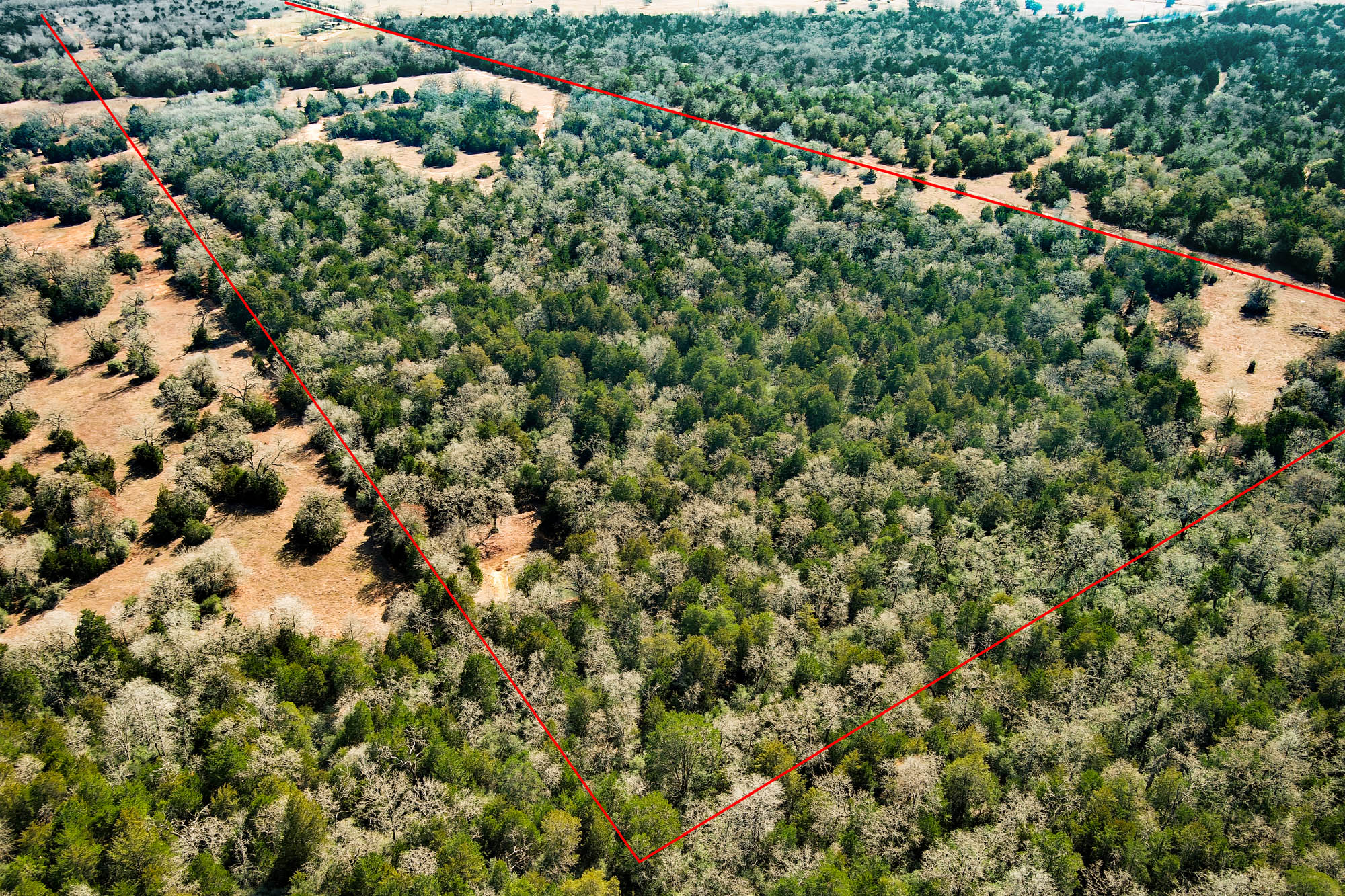 1648 Jeddo Road Rosanky, TX 78953 - Photo 32 of 32 unknown
