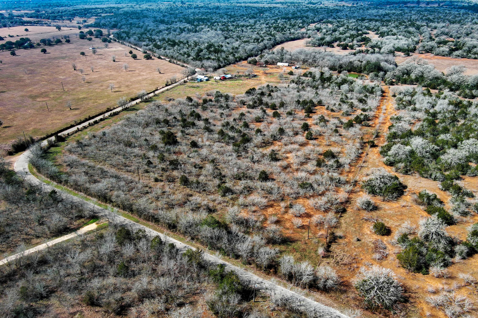 1648 Jeddo Road Rosanky, TX 78953 - Photo 5 of 32 a view of a dry yard with wooden fence