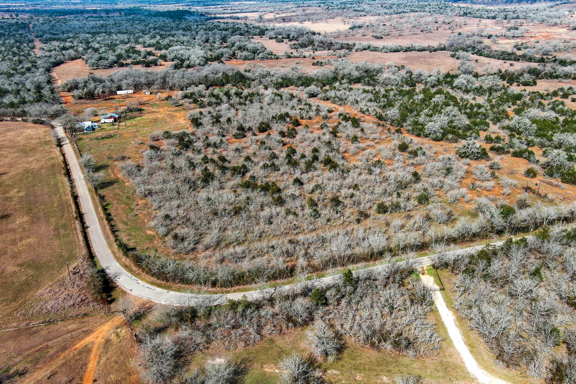 1648 Jeddo Road Rosanky, TX 78953 - Photo 7 of 32 a view of a dry yard
