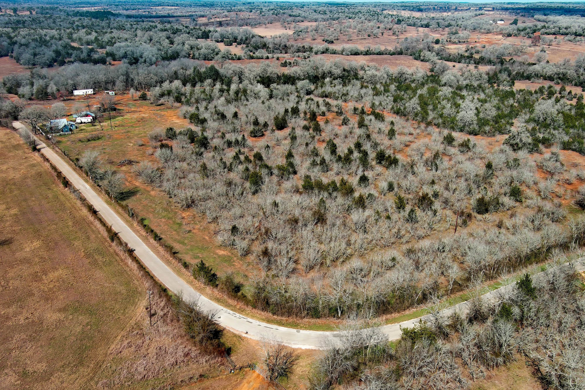 1648 Jeddo Road Rosanky, TX 78953 - Photo 10 of 32 a view of a dry yard with wooden fence