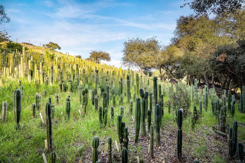 11782 Betsworth Road Valley Center, CA 92082 - Photo 39 of 74