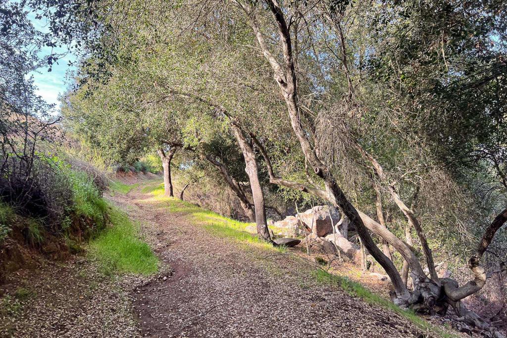 11782 Betsworth Road Valley Center, CA 92082 - Photo 51 of 74