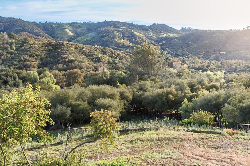 11782 Betsworth Road Valley Center, CA 92082 - Photo 56 of 74