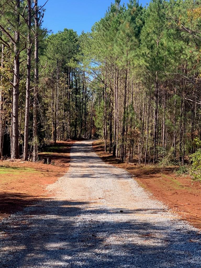 Lot 7 Valley Rescue Mission Road Hamilton, GA 31811 - Photo 2 of 8 Gallery Image 2