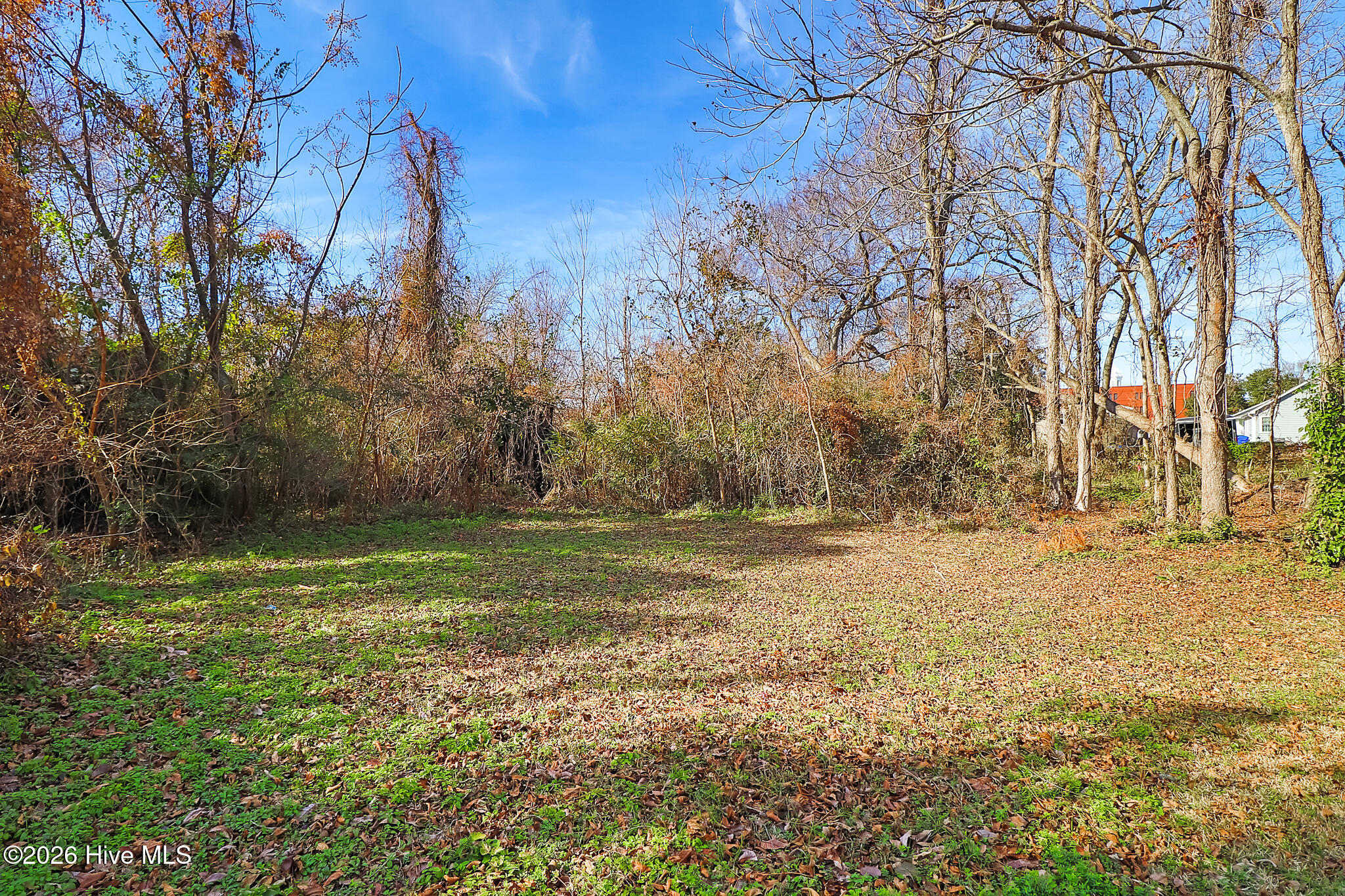 311 Pollock Street Beaufort, NC 28516 - Photo 14 of 24 Spacious Beaufort Lot