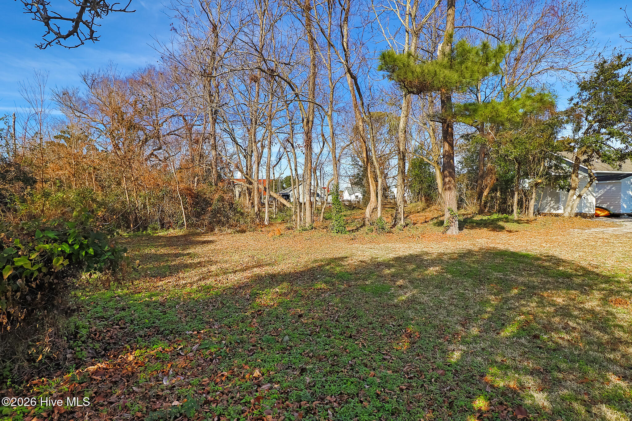 311 Pollock Street Beaufort, NC 28516 - Photo 15 of 24 Spacious Beaufort Lot