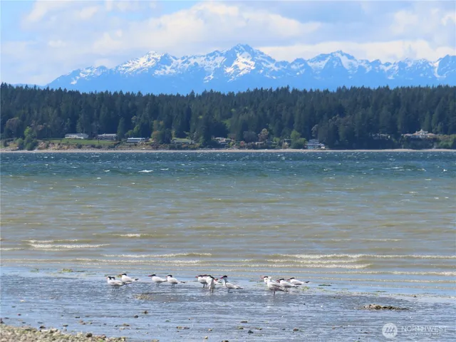 a view of a water with a mountain in the background