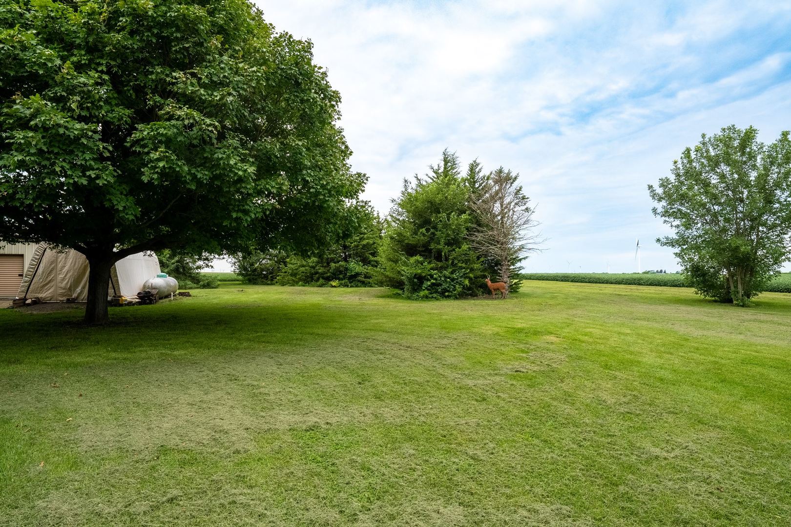 25823 East 2400 N Road Odell, IL 60460 - Photo 51 of 63 Gallery Image 51