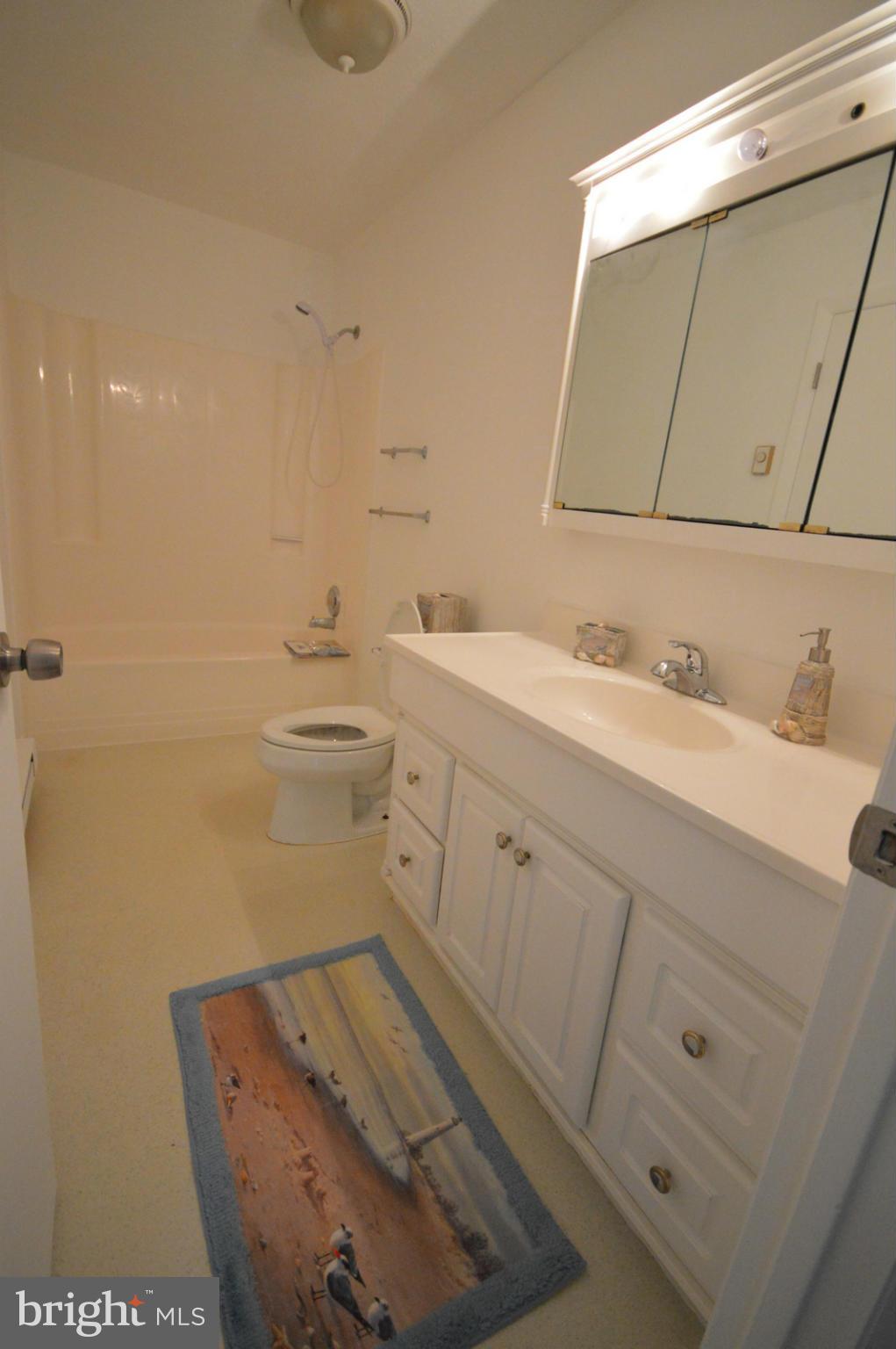 1046 Rest Church Road Clear Brook, VA 22624 - Photo 16 of 28 Bath