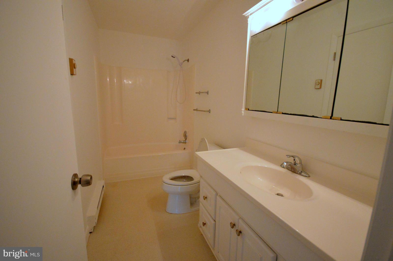 1046 Rest Church Road Clear Brook, VA 22624 - Photo 17 of 28 Bath