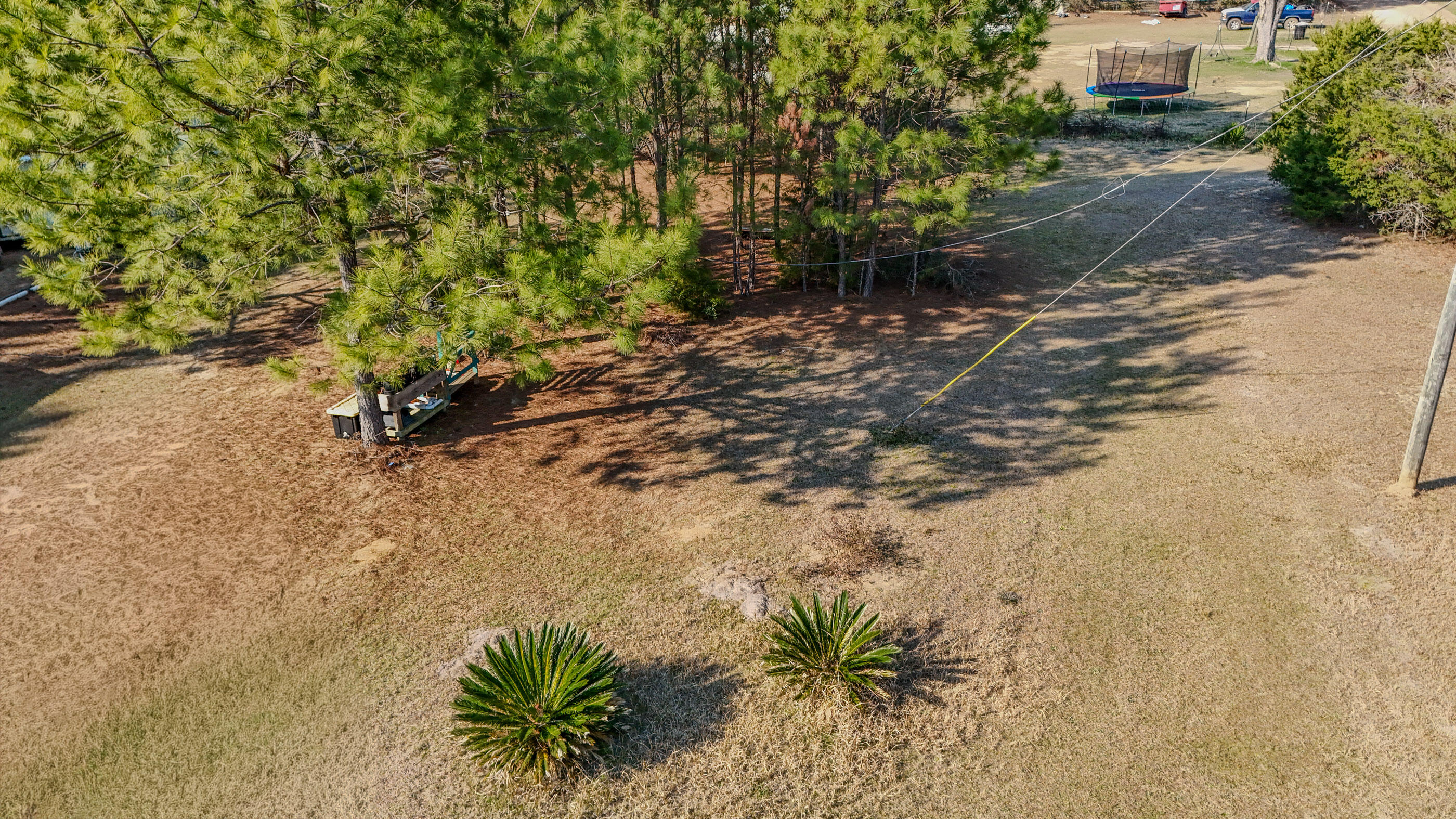 2444 Hardy Skipper Road Ponce de Leon, FL 32455 - Photo 9 of 21 a view of a yard with plants and trees