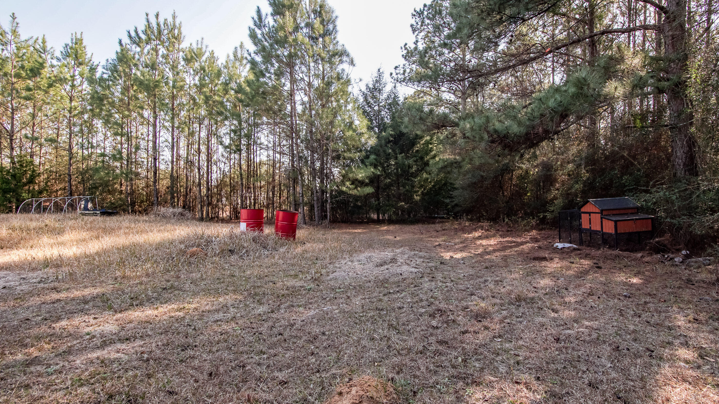 2444 Hardy Skipper Road Ponce de Leon, FL 32455 - Photo 10 of 21 a view of outdoor space with trees