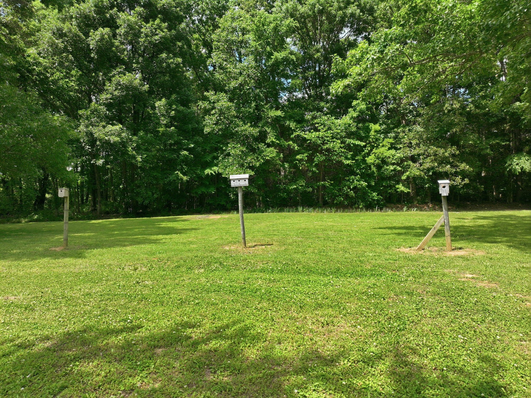 3041 Unionville Deason Road Bell Buckle, TN 37020 - Photo 33 of 35