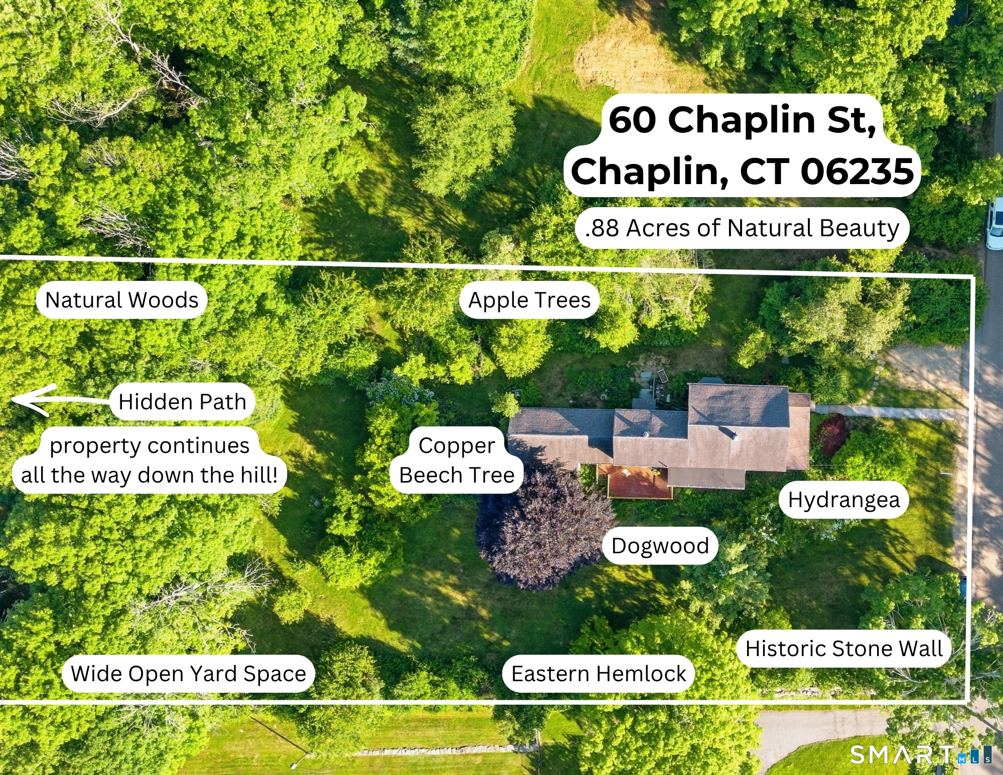 60 Chaplin Street Chaplin, CT 06235 - Photo 4 of 40