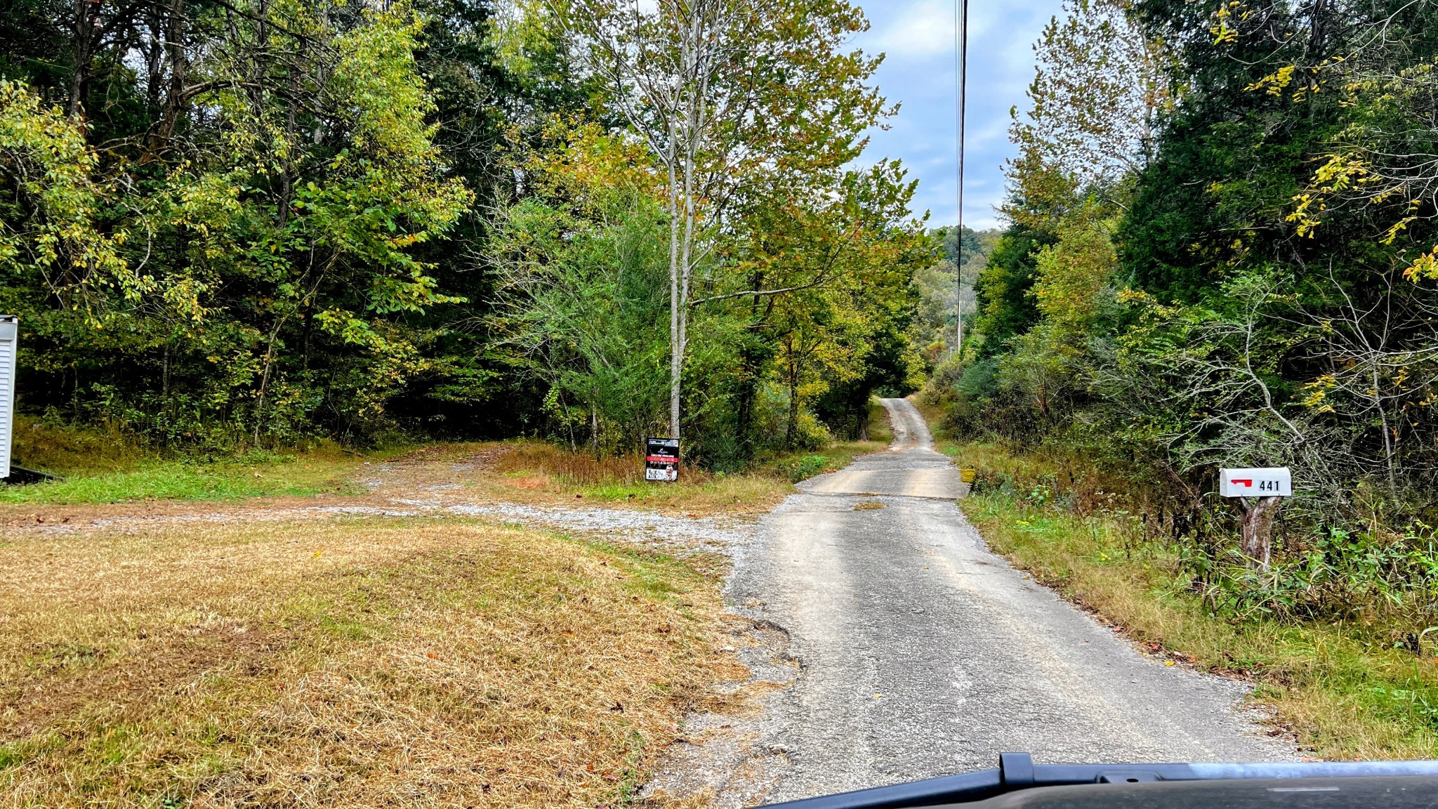 441 Pumpkin Hollow Road Liberty, TN 37095 - Photo 11 of 29 a view of a yard with plants and large trees